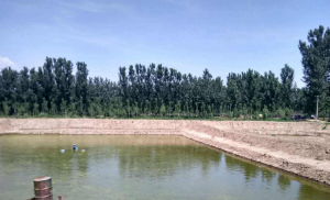 魚蝦經(jīng)驗(yàn)小貼士 魚蝦經(jīng)驗(yàn)小貼士